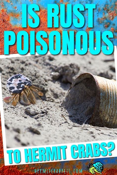 is rust poisonous to humans