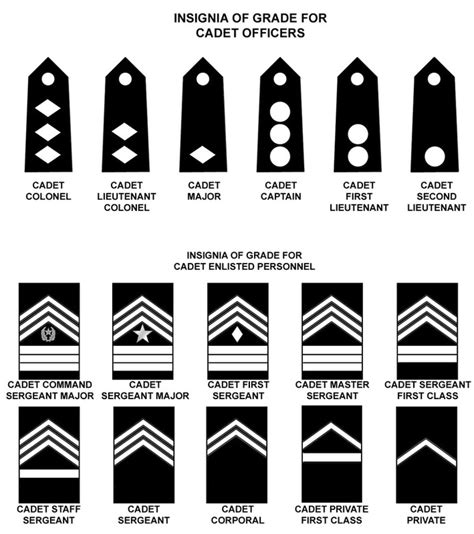 is sergeant first class higher than captain