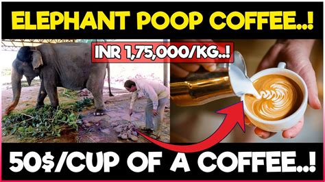 is some coffee made from elephant poop