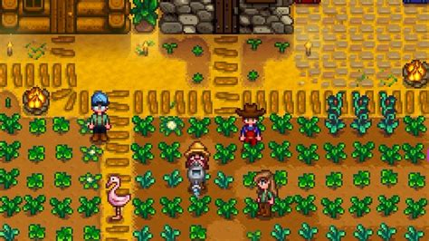 is stardew valley multiplayer on one switch