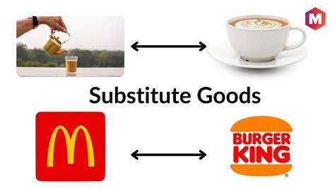 is substitute the same as alternative