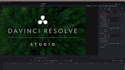 is there a watermark in davinci resolve free