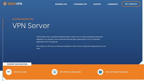 is there an open source vpn