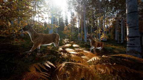 is there multiplayer in hunting simulator 2