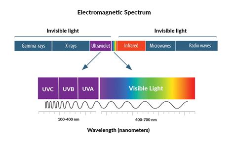 is uv light in the visible spectrum