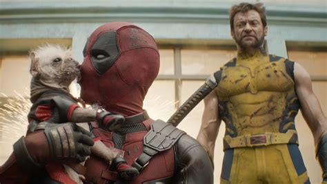 is wolverine in deadpool's universe