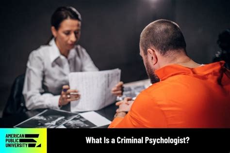 issues in criminal psychology