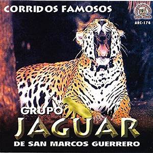 Jaguar De San Marcos Guerrero
