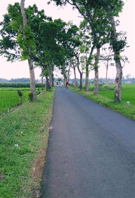 Jalan Desa