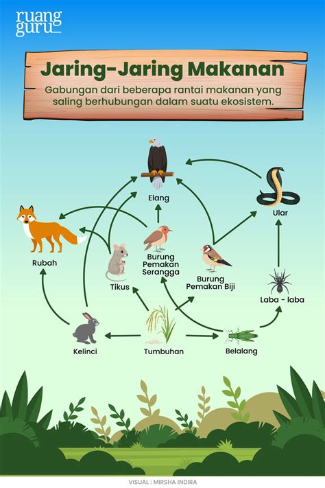 Jaring-jaring makanan