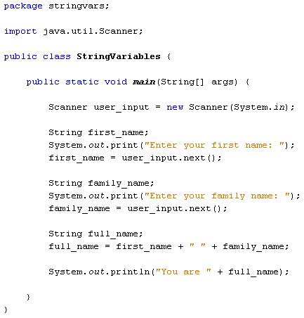 java input code