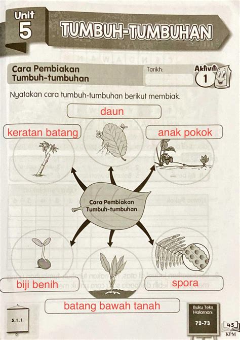 jawapan buku aktiviti sains tahun 3 muka surat 30