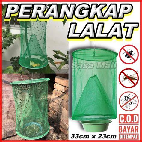 jebakan lalat