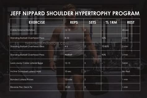 jeff nippard training program pdf