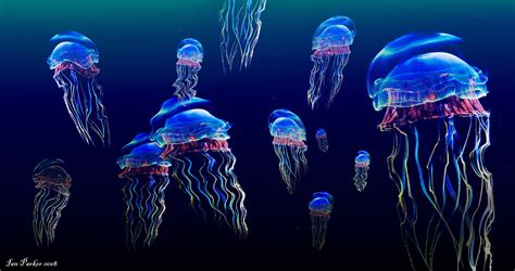 Jellyfish Wallpaper HD Wallpapers Download Free Map Images Wallpaper [wallpaper376.blogspot.com]