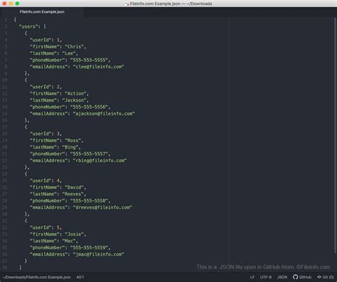 json file example github