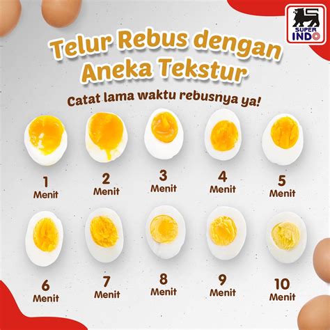 jumlah telur