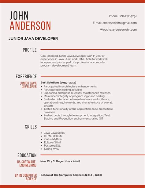 junior java developer cv examples
