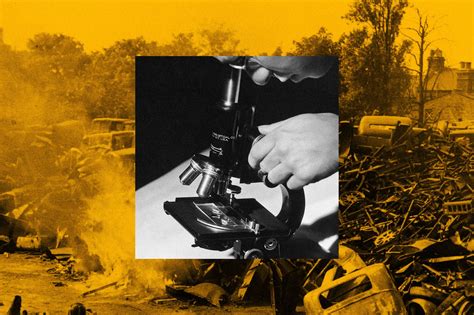 junk science forensics examples