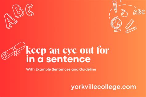 keep an eye out for sentence in english
