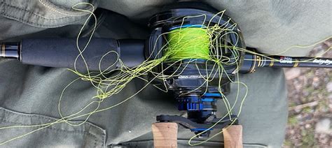 keep your gear and lines clean and untangled