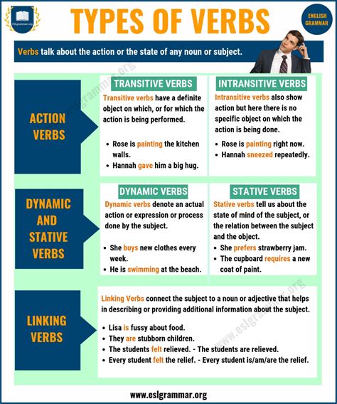 kinds of verb with definition and examples
