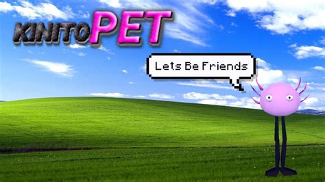 Kinito Pet Walkthrough
