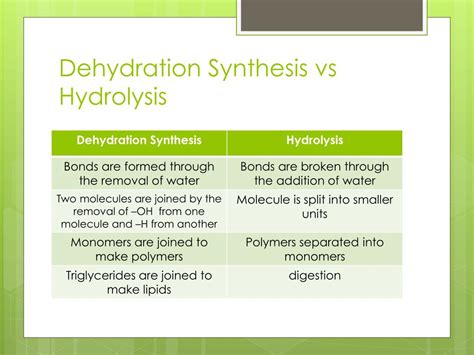 know the difference between dehydration synthesis and hydrolysis