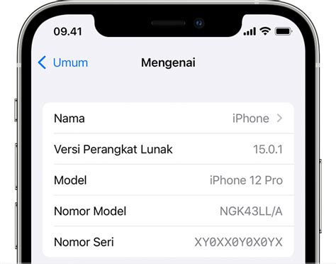 Kode Cek Layar iPhone di Indonesia