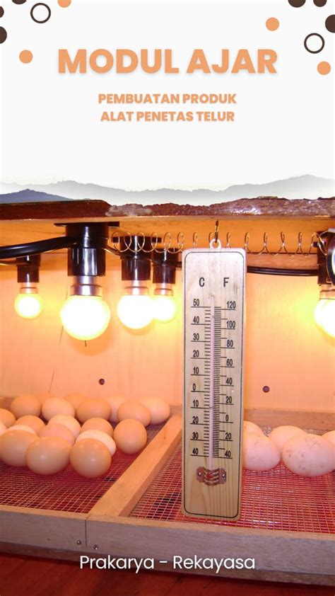 konstruksi mesin penetas telur otomatis