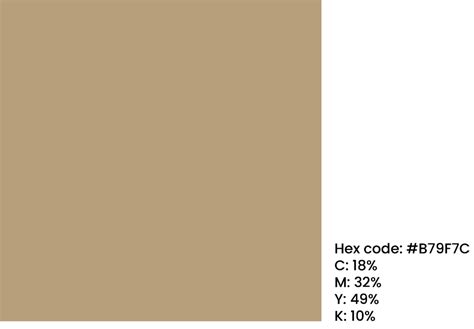 kraft brown hex code