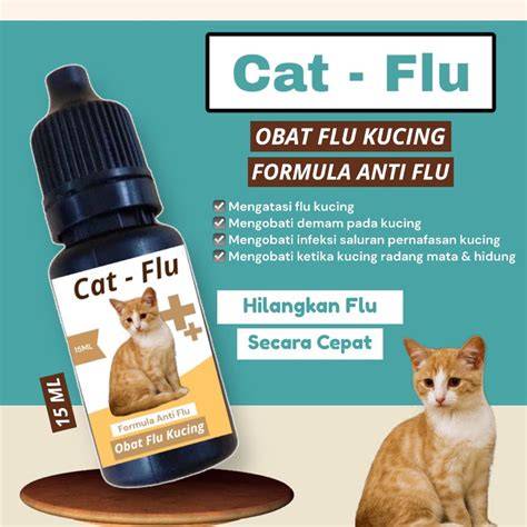 Kucing Flu