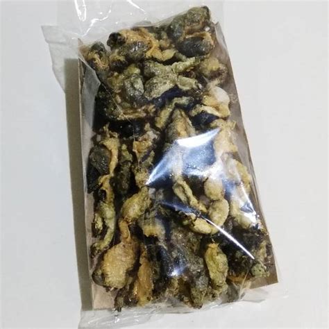 Kulit Kodok Berbintil