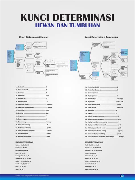 Kunci Determinasi Digital