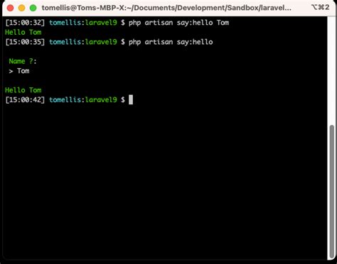 laravel call console command