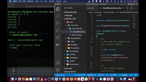 laravel command arguments