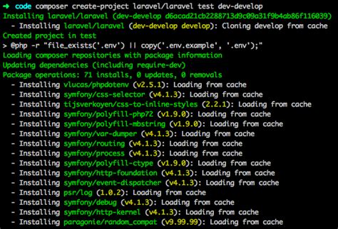 laravel create project command line