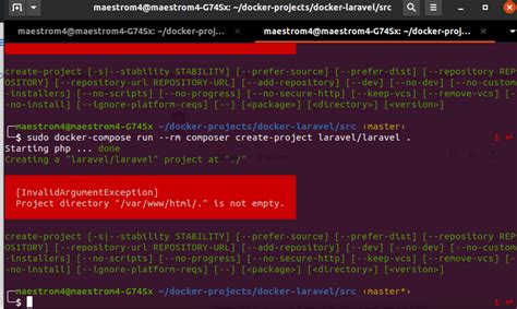 laravel create project directory is not empty