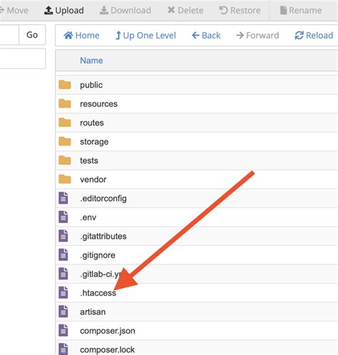 laravel htaccess redirect to public not working