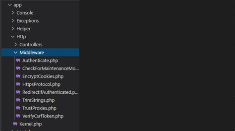 laravel middleware redirect not working
