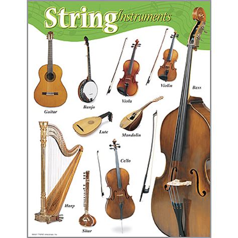 large string instruments list with pictures