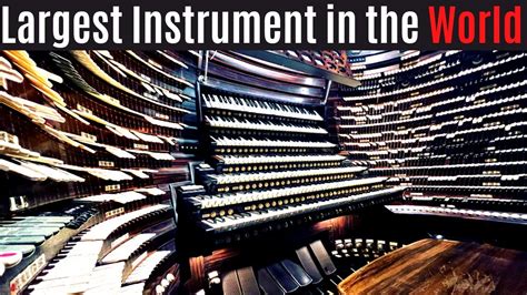 largest string instrument dan word