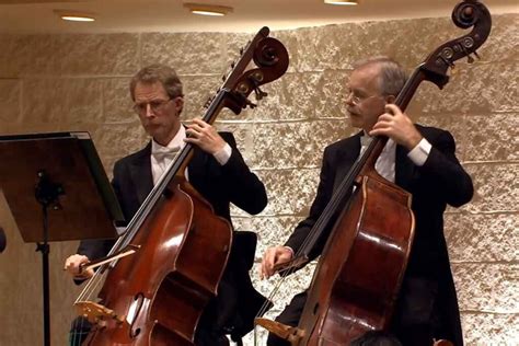 largest string instrument in orchestra