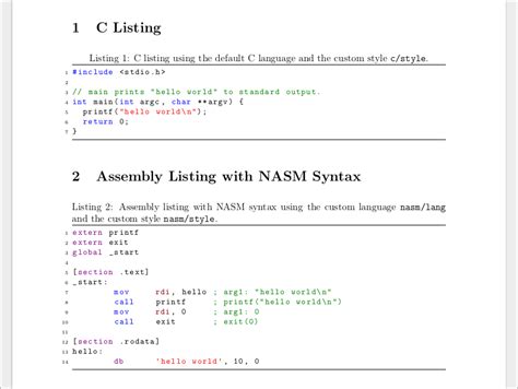 latex source code listing