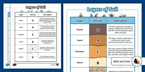 Layers Of Soil Chart