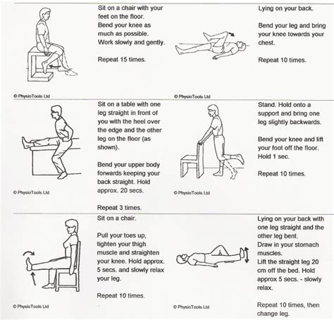 le strengthening exercises