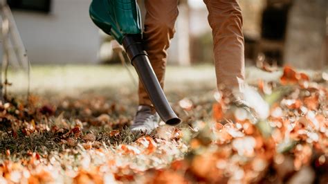 leaf blowing technique