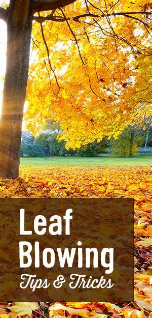leaf blowing tips and tricks