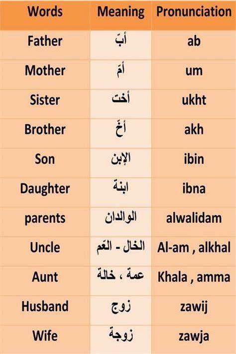 learn basic arabic words
