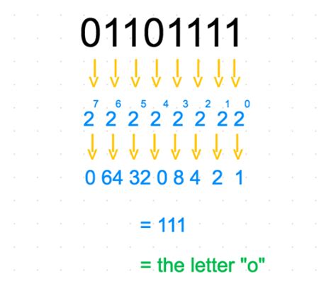 learning binary code for dummies
